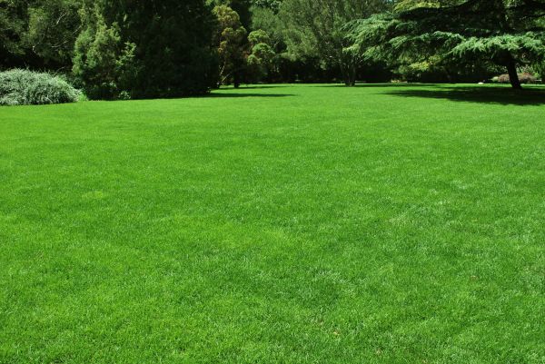 Lawn Landscaping in North Myrtle Beach