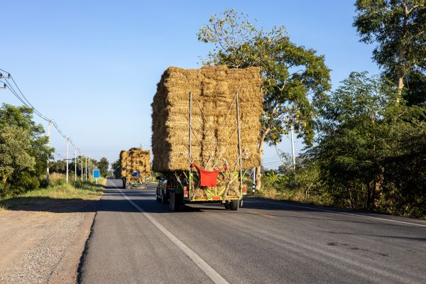 Pine Straw Delivery in North Myrtle Beach