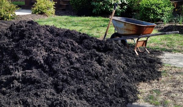 Black Mulch Delivery in North Myrtle Beach