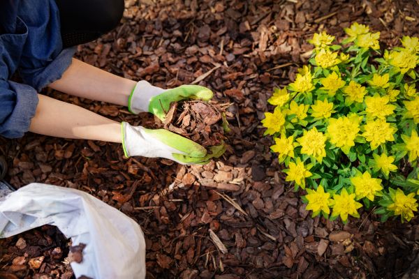 Garden Mulching in North Myrtle Beach