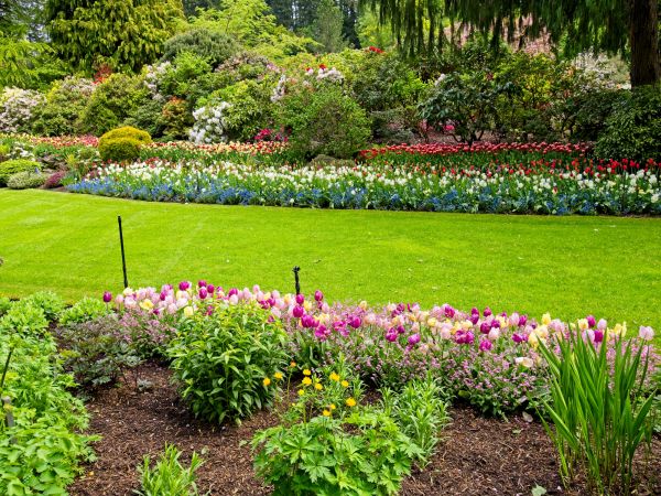 Residential Landscape Design in North Myrtle Beach