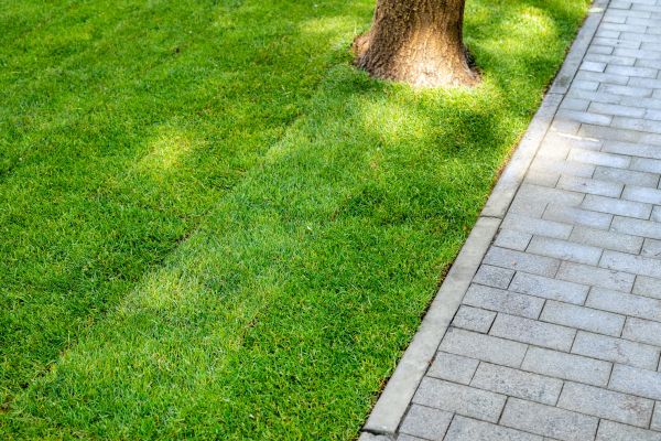 Border Stone Installation in North Myrtle Beach