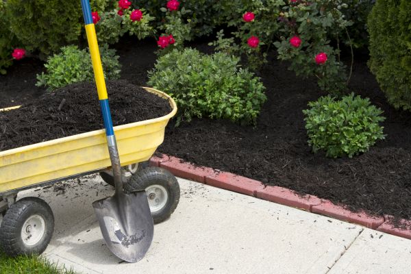 Mulch Application