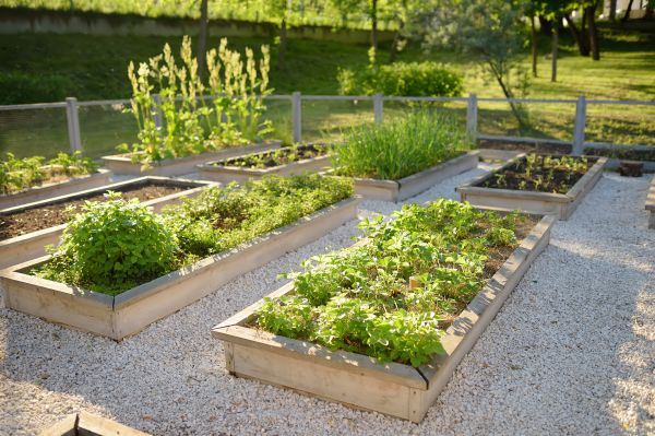 Limited Area Garden Planning
