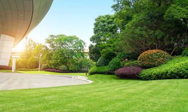 Business Landscape Design in North Myrtle Beach