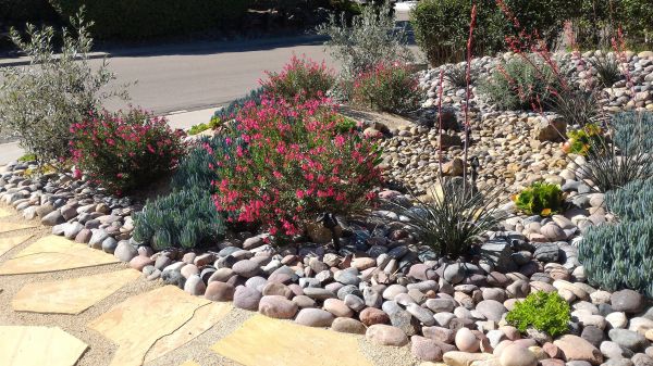 Xeriscape Landscaping in North Myrtle Beach