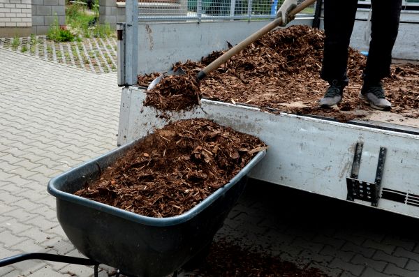 Landscape Mulch Delivery in North Myrtle Beach