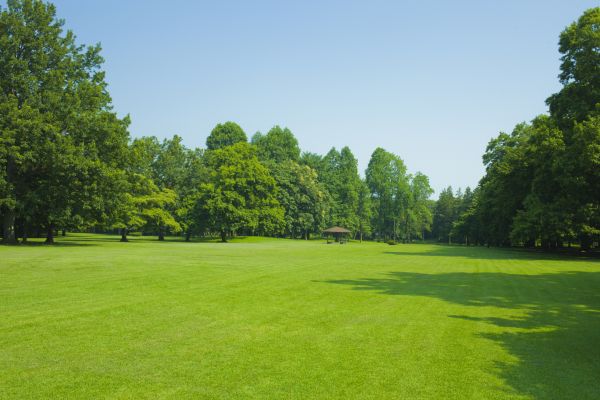 Land Improvement