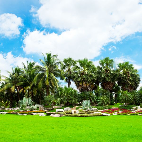 Tropical Landscaping in North Myrtle Beach