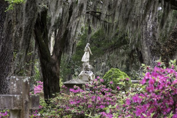 Cemetery Landscaping in North Myrtle Beach