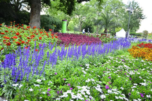 Perennials Planting in North Myrtle Beach
