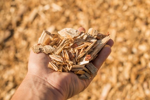Wood Chips Spreading in North Myrtle Beach
