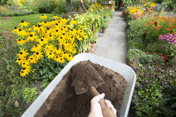 Topsoil Replacement in North Myrtle Beach