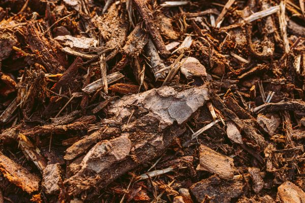 Bark Mulch Delivery in North Myrtle Beach
