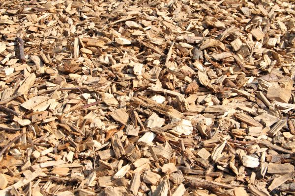 Wood Mulch Delivery in North Myrtle Beach