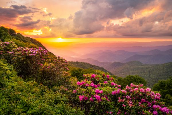 Hill Landscaping in North Myrtle Beach
