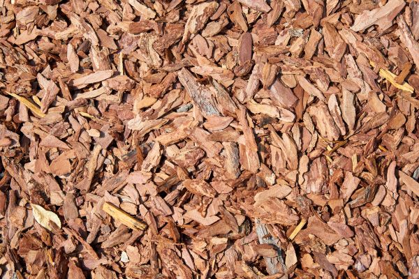 Pine Mulch Delivery in North Myrtle Beach