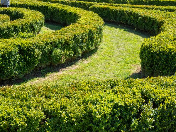 Bush Landscaping in North Myrtle Beach