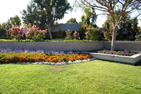 Commercial Landscape Service in North Myrtle Beach