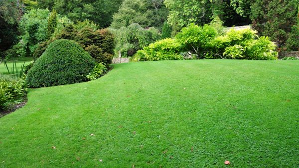 Commercial Landscape Design in North Myrtle Beach