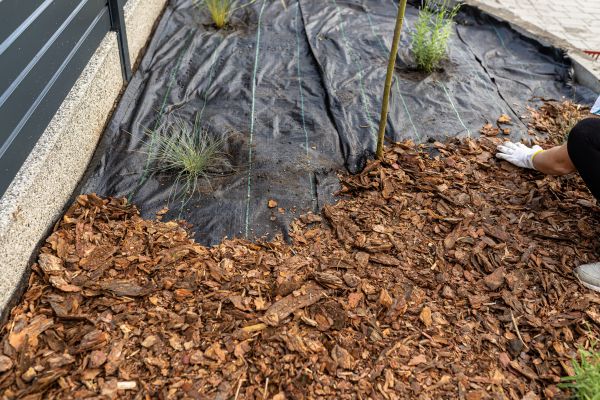 Pine Bark Spreading
