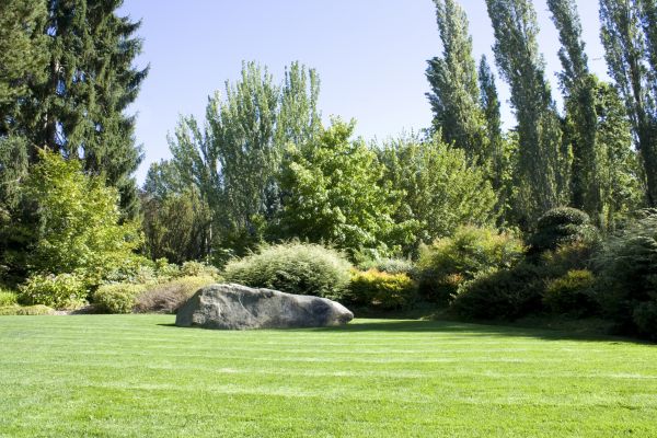 Yard Enlargement in North Myrtle Beach