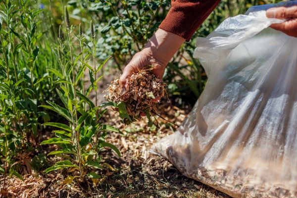 Wood Mulch Installation in North Myrtle Beach