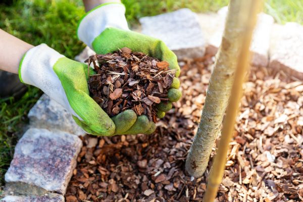 Tree Bark Delivery in North Myrtle Beach
