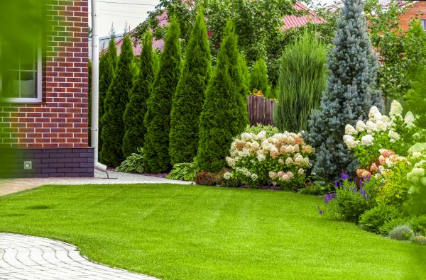 Spring Landscaping in North Myrtle Beach