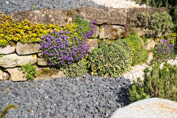 Landscaping Rocks Installation in North Myrtle Beach
