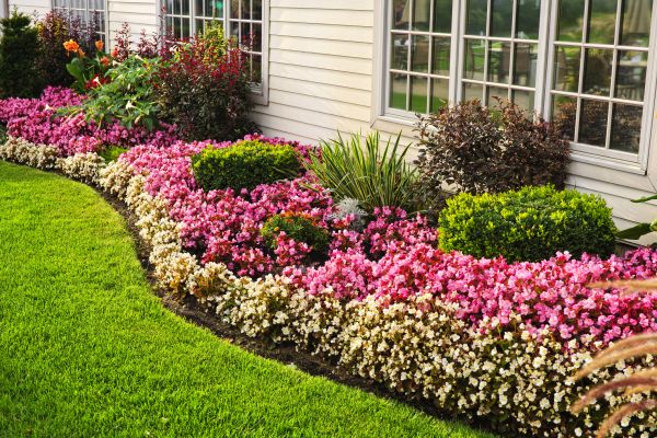 Garden Landscape Design in North Myrtle Beach