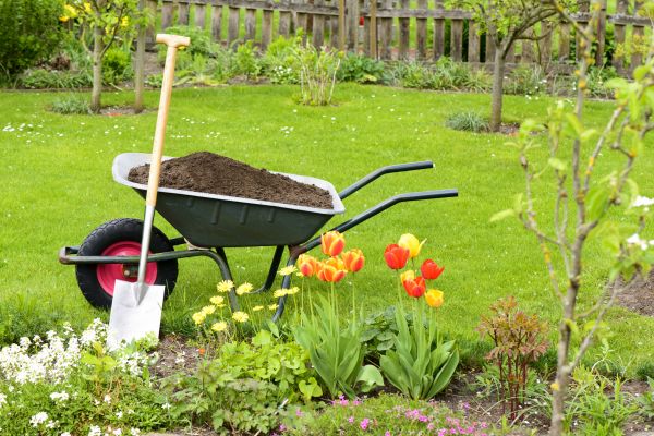 Spring Yard Renovation in North Myrtle Beach