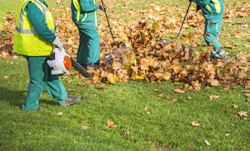 Team Performing Leaf Cleanup