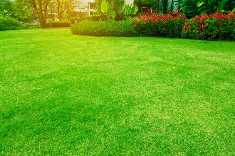 Lawn Transformations